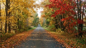 New England Autumn