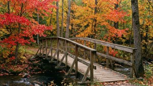 New England Autumn Bridge