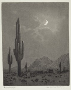 New Moon and Evening Star