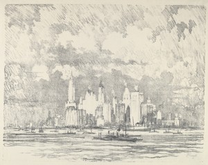 New York From Ellis Island
