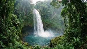 Ngardmau Waterfall Jungle