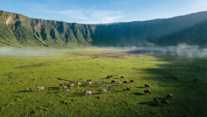 Ngorongoro Crater Aerial