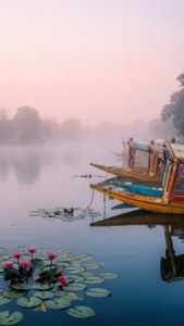 Nigeen Lake Misty Morning