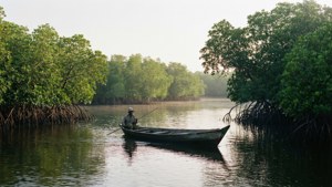 Niger Delta Serenity