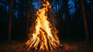 Night Bonfire Blaze