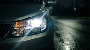 Night Glow Details