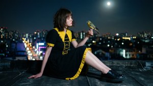 Night Rooftop