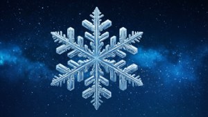 Night Sky Snowflake