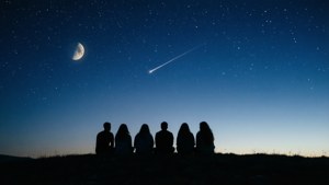Night Under Stars