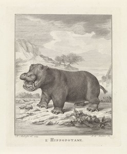 Nijlpaard