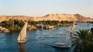 Nile Feluccas at Golden Hour