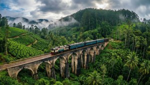 Nine Arch Express