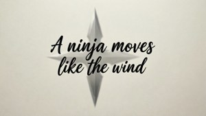 Ninja Wind Quote