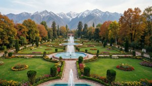 Nishat Bagh Terraces