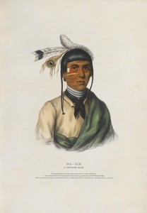 No-Tin - A Chippewa Chief