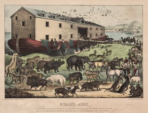 Noah's Ark