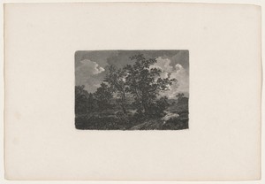 Nocturnal Landscape