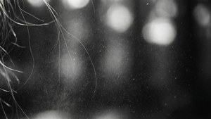 Noir Dust and Grain