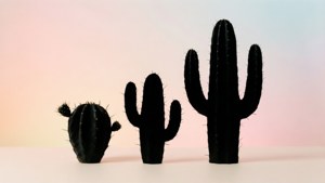 Nopal Trio Silhouettes