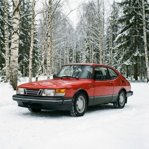 Nordic Winter