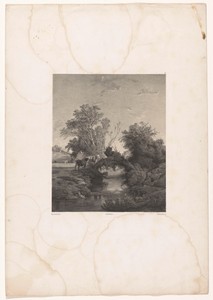 Normandisch landschap met koeien en verstrengelde knotwilgen boven een beek