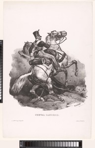 Normandisch paard met ruiter