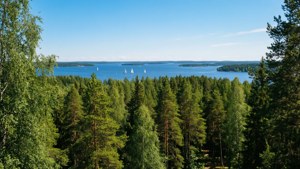 Norra Berget Panorama