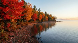 North Shore Autumn Colors