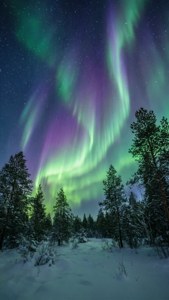 Northern Lights