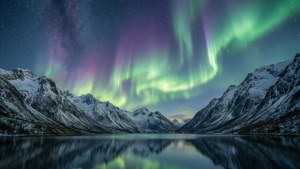 Northern Lights Dream
