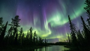 Northern Lights Over Boreal