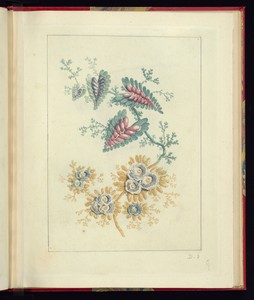 Nouvelle Suitte de Cahiers de fleurs idéales, a l'usage des déssinateurs et des Peintres