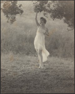 [Nymph]