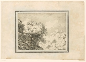 Oak