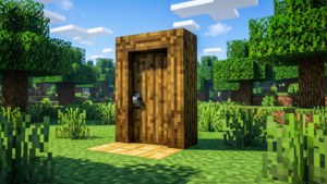 Oak Door in Forest