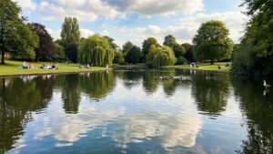 Oaklands Park Serenity