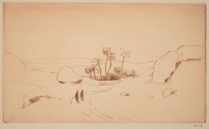 Oasis in the Desert