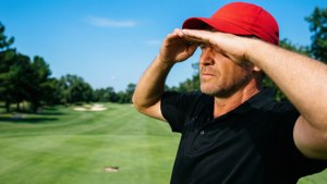 Observing the Pitch