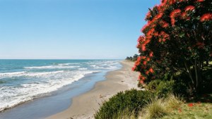 Ocean Beach Summer