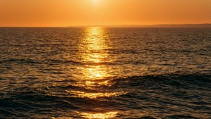Ocean Path of Light