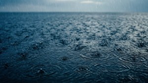 Ocean Rain Ripples