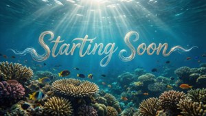 Ocean Reef Starting Soon