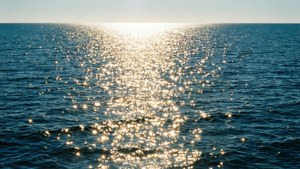 Ocean Sparkle Glint