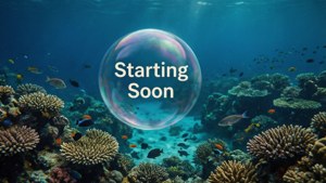 Ocean Starting Soon