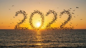 Ocean Sunset 2022