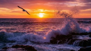 Ocean Sunset Drama