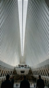 Oculus Interior Light