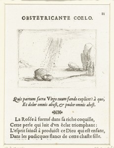 Oester op een strand