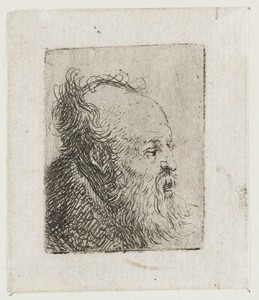 Old Bearded Man, with Mouth Half Open