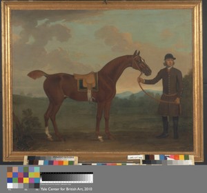Old Fox held by a Groom